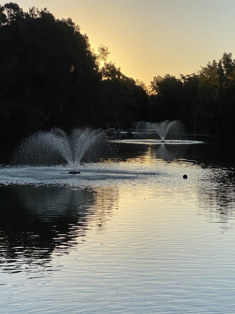 maztec meet us pond1